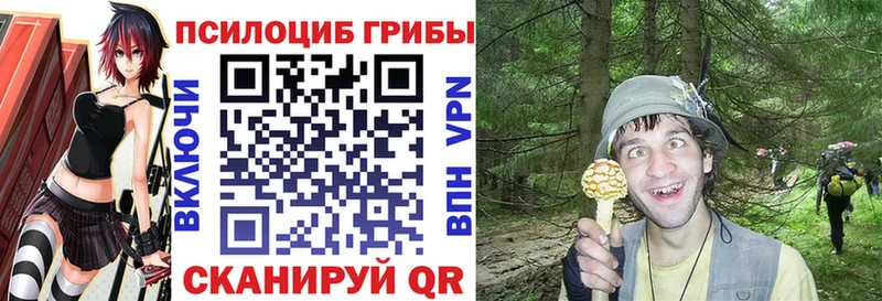 omg ТОР купить наркоту Ворсма Псилоцибиновые грибы Cubensis